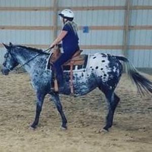 Meet your Posher, Nicki